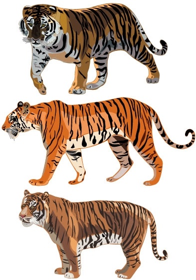 393x561 Tiger Vector Free Download Free Vector Download (326 Free Vector