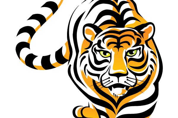 600x400 Tiger Vector 2 An Images Hub