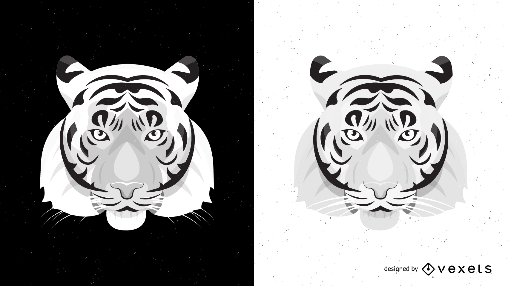 1701x958 Both Black And White Tiger Vector