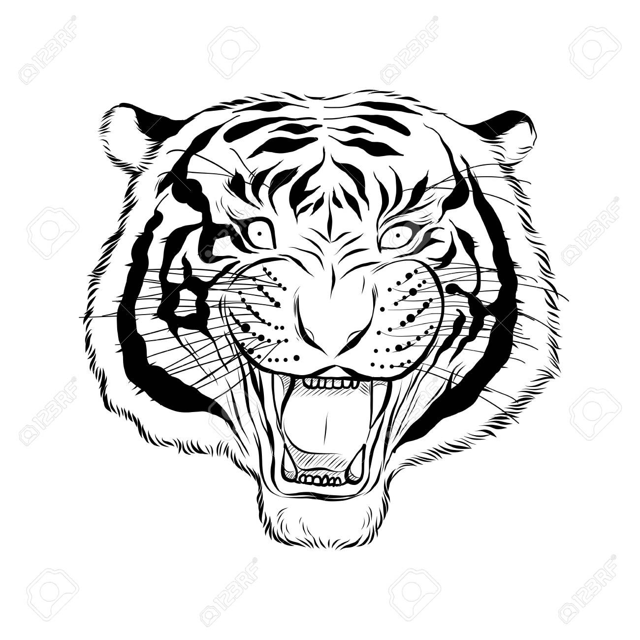 1300x1300 Drawn Tiger Vector