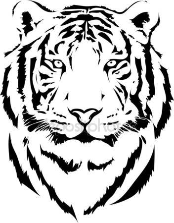 352x450 Drawn Tiger Vector