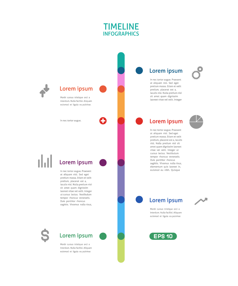 800x960 Timeline Infographic Vector Free Vector Graphic Download