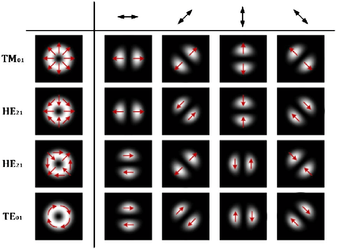 695x513 Results Of Filtering The Vector Modes (Tm 01 , He E 21 , He O 2