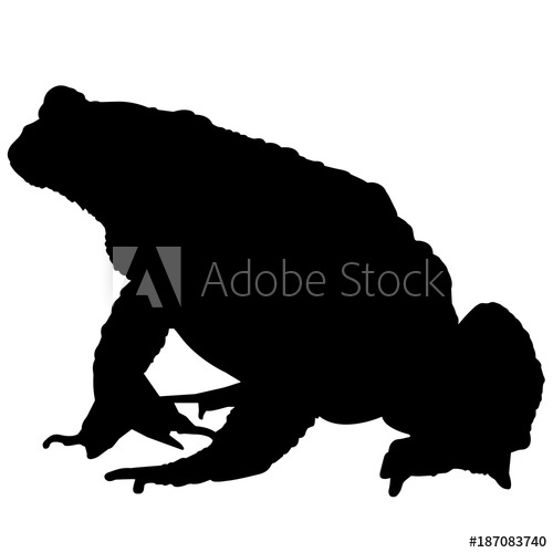 500x500 Toad Silhouette Vector Graphics