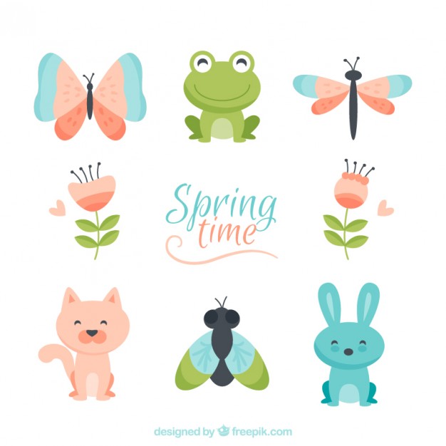 626x626 Toad Vectors, Photos And Psd Files Free Download
