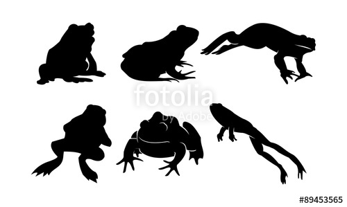 500x299 Vector Silhouette Of Frog And Toad In Bundle Stock Image And