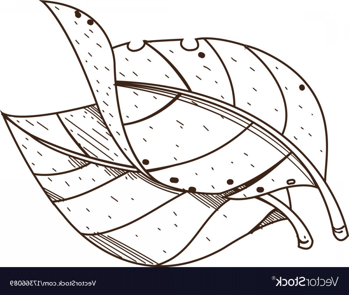 1200x1014 Small Tobacco Leaf Vector Photo That Is Sohadacouri