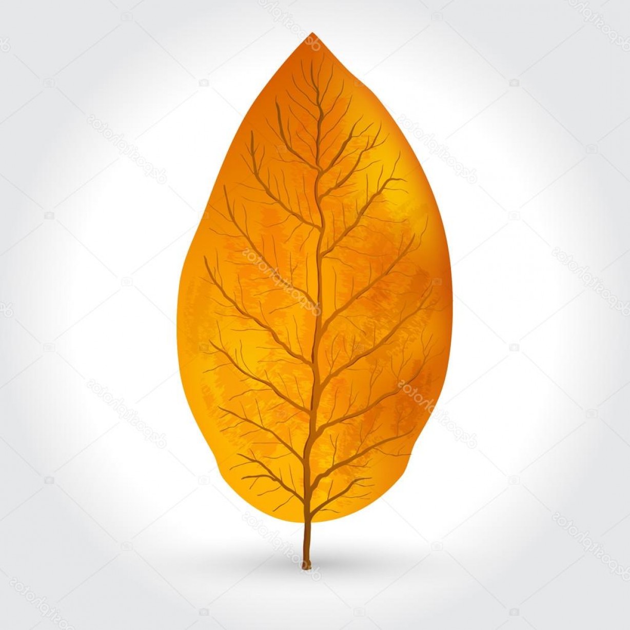 1228x1228 Stock Illustration Tobacco Leaves Vector Illustration Geekchicpro