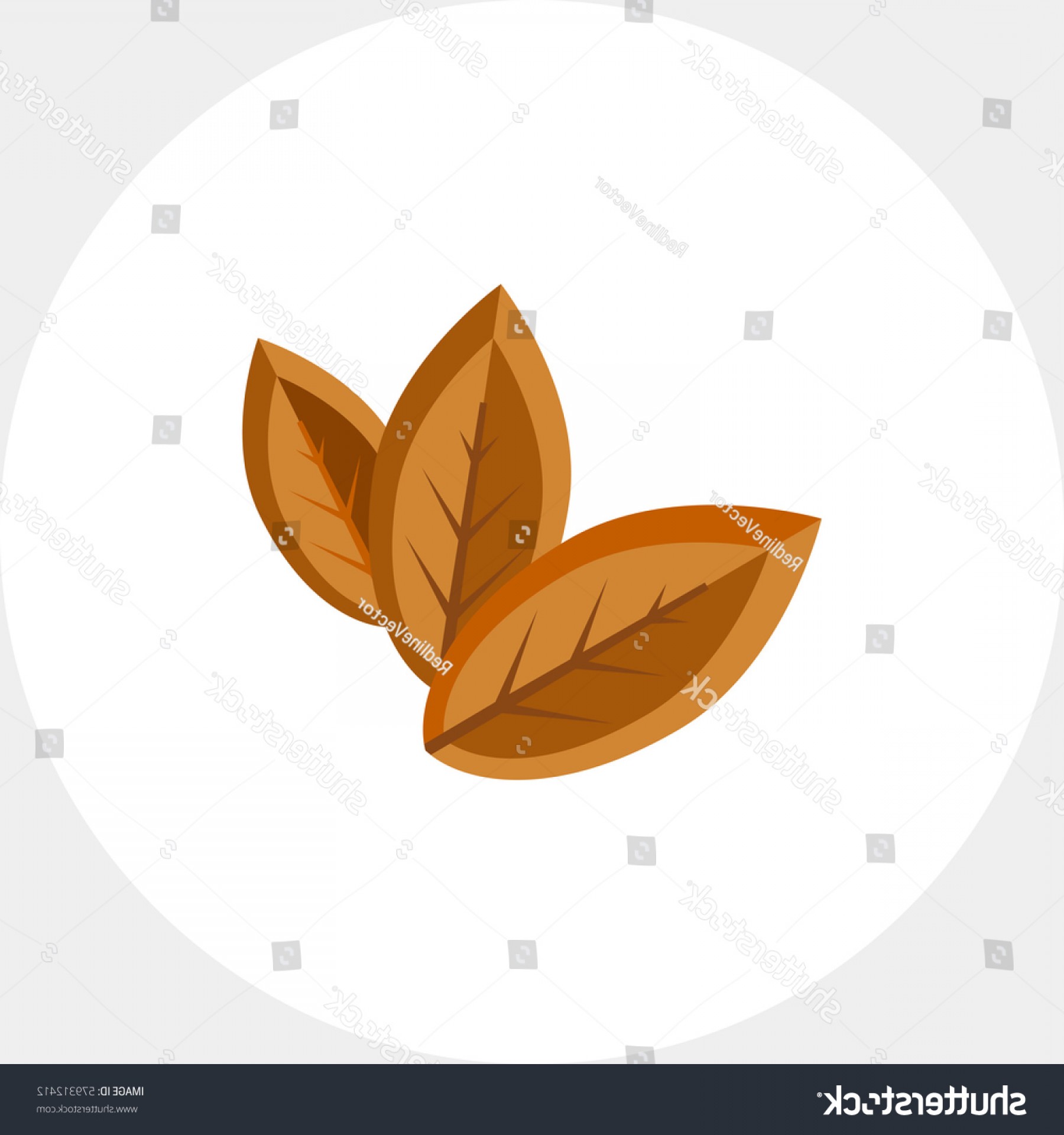 Tobacco Leaf Vector at GetDrawings | Free download