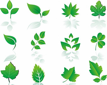 340x270 Tobacco Leaf Clipart