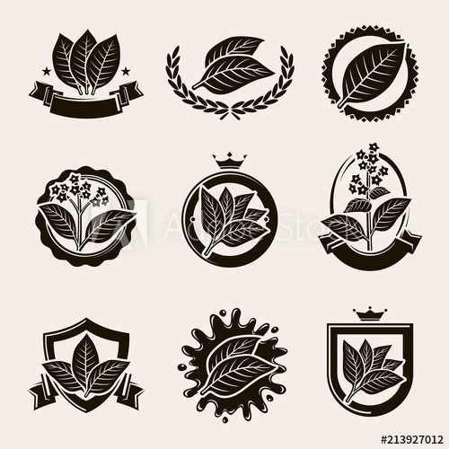 500x500 Tobacco Leaf Label And Icons Set. Vector