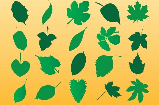 555x368 Tobacco Leaf Silhouette Free Vector Download (8,990 Free Vector