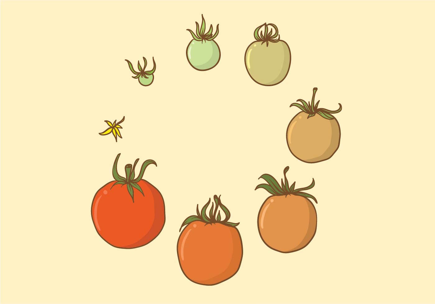 1400x980 Tomato Plant Free Vector Art