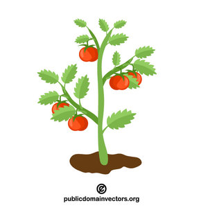 300x300 Triangle Clip Art Tomato Plant