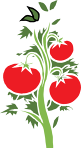 162x296 Collection Of Free Tomato Vector Animated. Download On Ubisafe