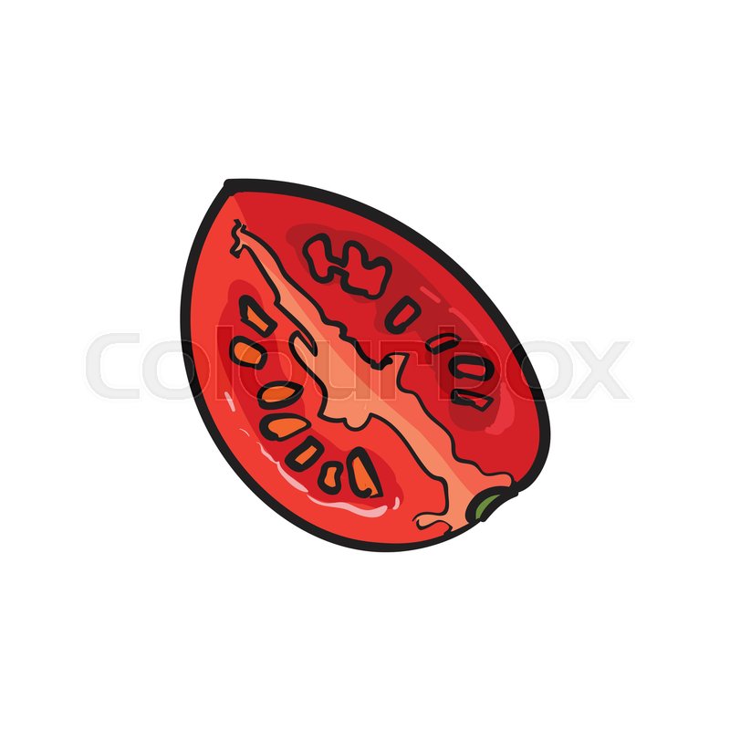 800x800 Sketch Style Drawing Of Ripe Red Tomato Slice, Vector Illustration
