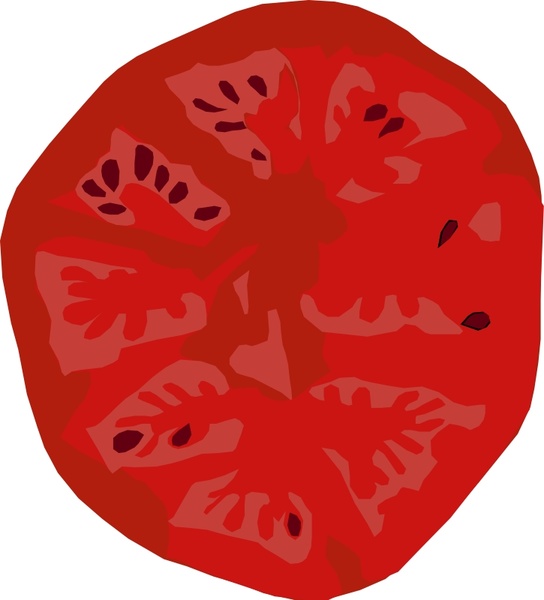 544x600 Tomato Slice Free Vector In Open Office Drawing Svg ( .svg