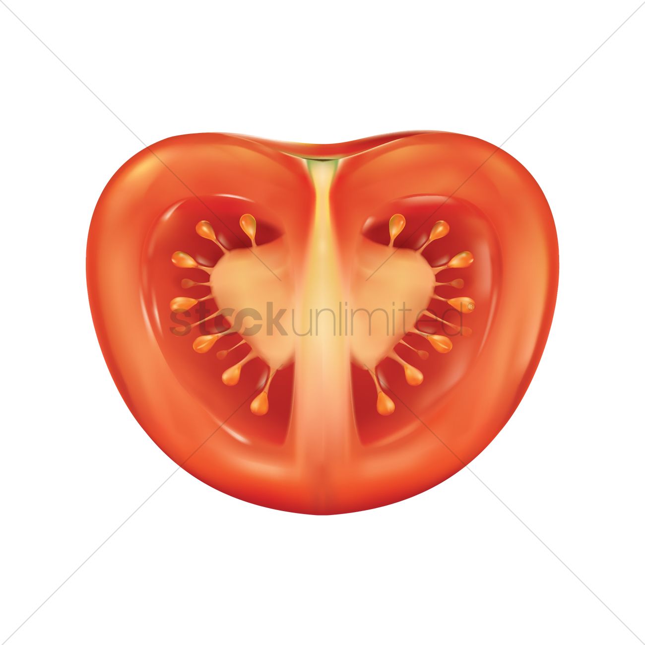 1300x1300 Tomato Slice Vector Image