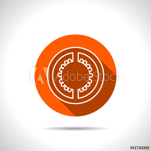 500x500 Vector Tomato Slice Orange Icon With Flat Shadow