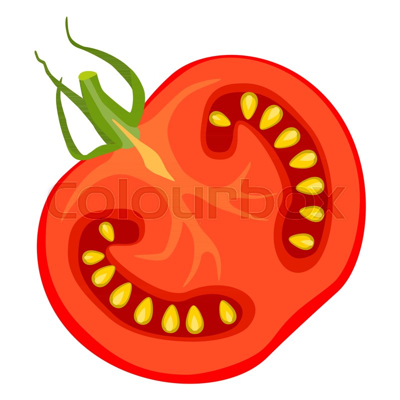 800x800 Single Tomato Slice Isolated On White Background. Flat Vector