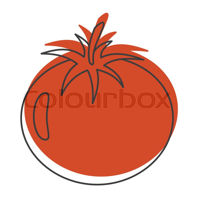 800x800 Red Tomato Doodle Icon Vector Illustration For Design And Web