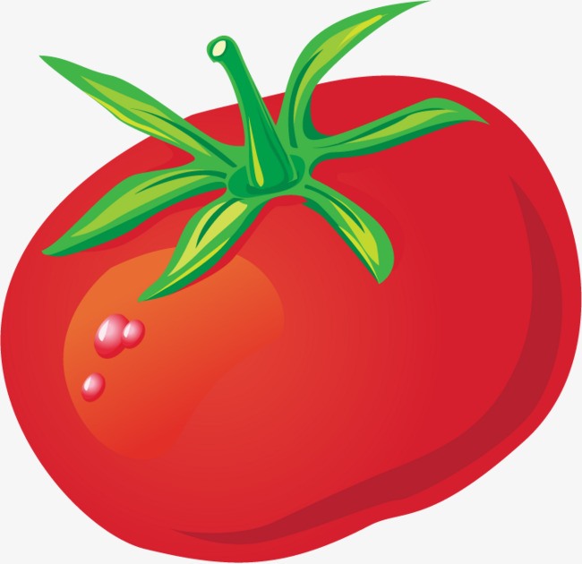 650x630 Tomato Tomatoes Png Vector Material, Vector, Vector Material