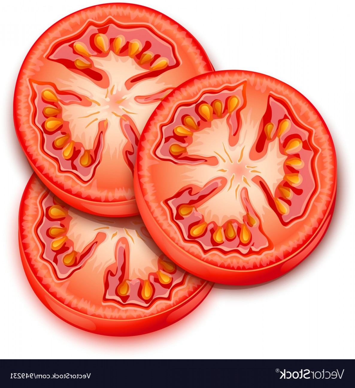 1186x1296 A Slice Of Tomato Vector Shopatcloth