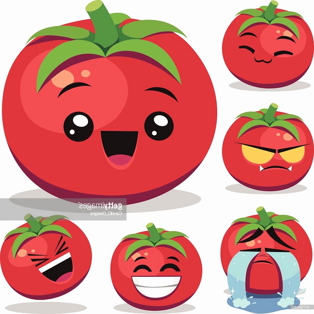 1225x1228 Tomato Vector Lovely Vector Tomato Vector Clipart Royalty Free