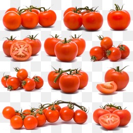 260x260 Tomato Vector Png Images Vectors And Psd Files Free Download