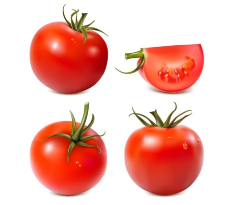 468x412 Tomato Vector