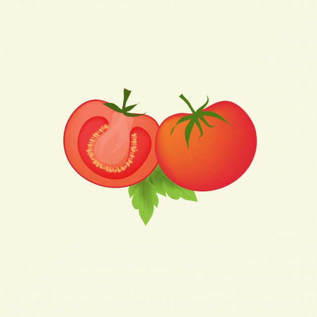 626x626 Tomato Vectors, Photos And Psd Files Free Download