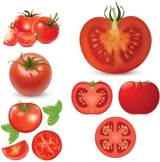 520x526 Tomatoes Vector Free Vector In Encapsulated Postscript Eps ( .eps