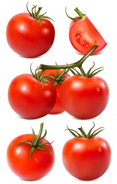 399x626 Tomato Vector Fruits Clip Art, Decoupage And Food