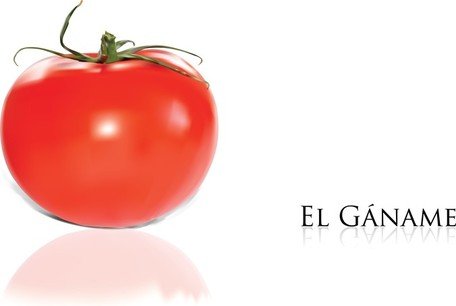 456x306 Free Tomato Clipart And Vector Graphics