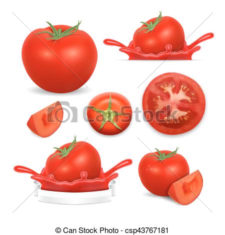 450x470 Vector Icons Of Tomato. Tomato. Vector Icons Set. Eps10.