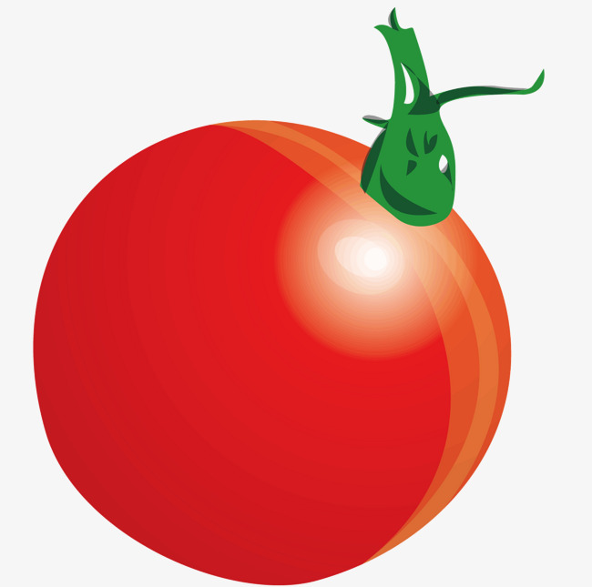 650x645 A Tomatoes, Vector Diagram, Tomato, Tomato Png And Vector For Free