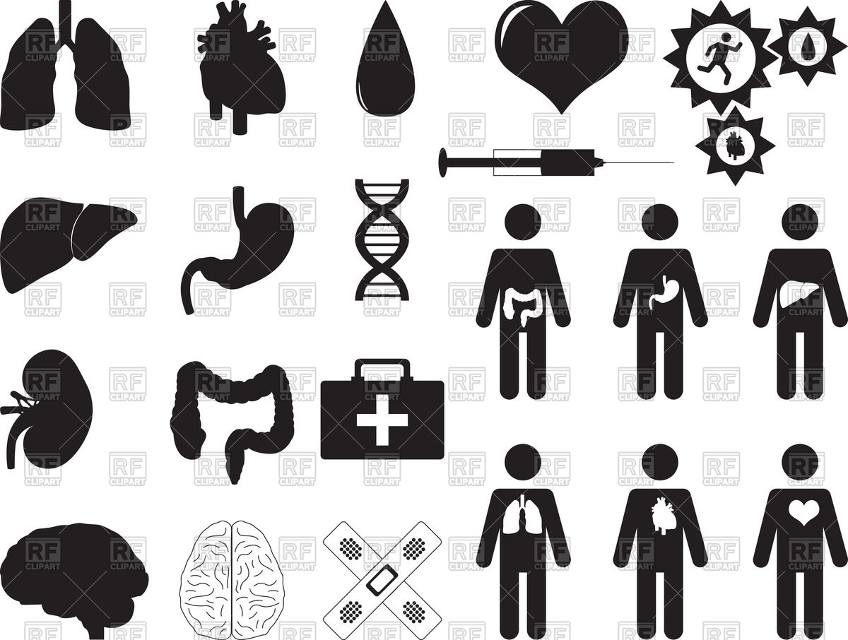 1200x906 Pictograms Of Human Organs And Medical Tools Vector Image Vector