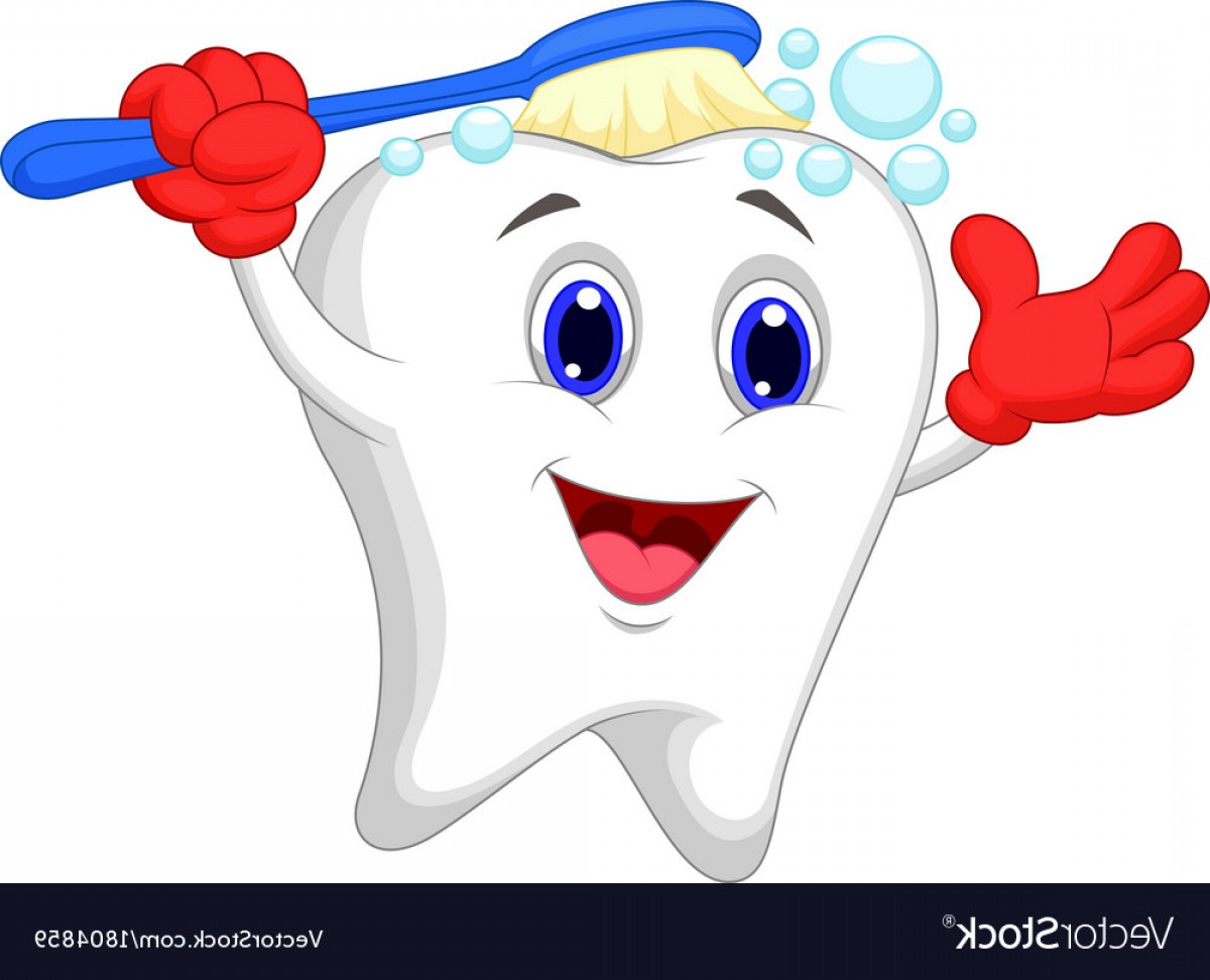 Tooth Vector at GetDrawings | Free download