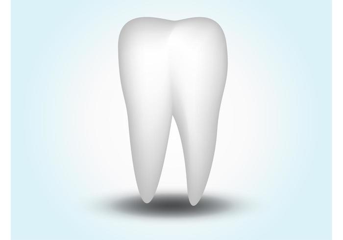 700x490 Vector Tooth