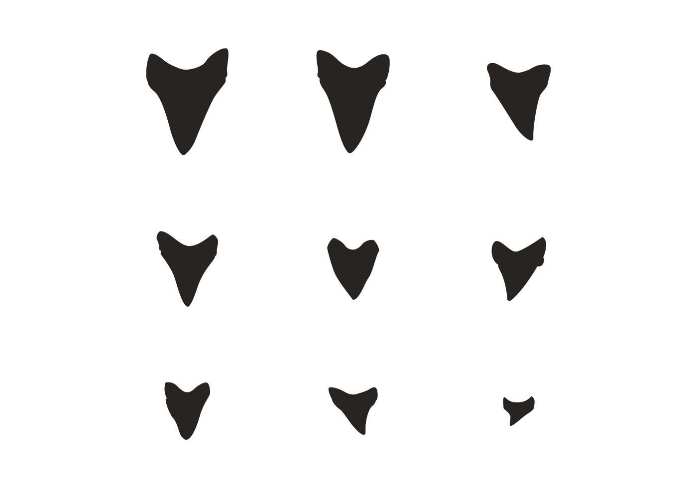 1400x980 Shark Teeth Silhouette Vector