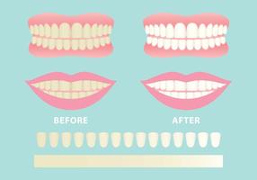 286x200 Teeth Free Vector Art