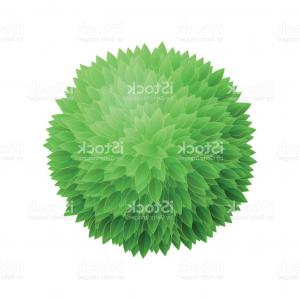 300x300 Stock Image Trees Top View Landscape Vector Illustration Image