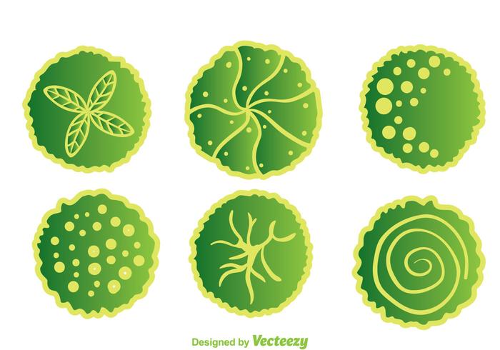 700x490 Trees Top View For Landscape