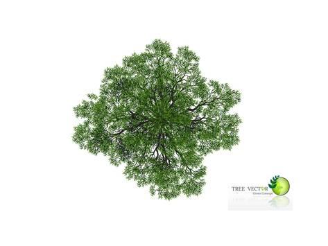 473x355 Trees Top View For Landscape Vector Illustration Decorative Branch