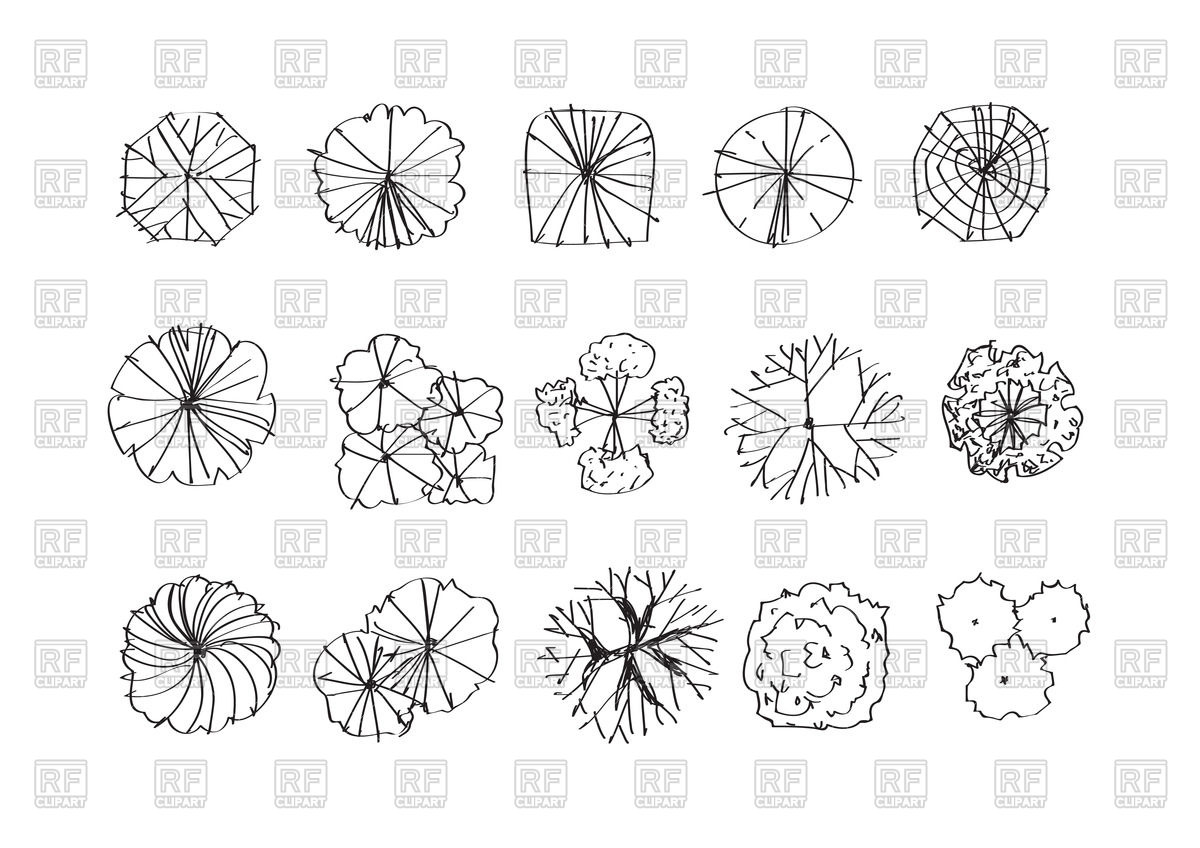 1200x848 Trees Top View (Sketch Style) Vector Image Vector Artwork Of