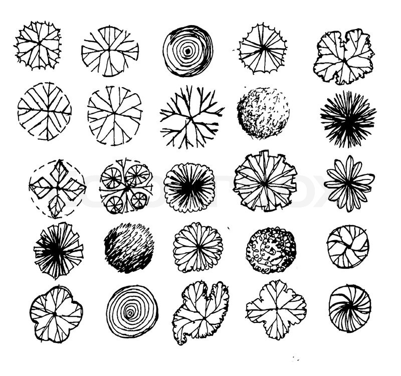 800x750 Trees Top View For Architecture Landscape Design Projects Stock