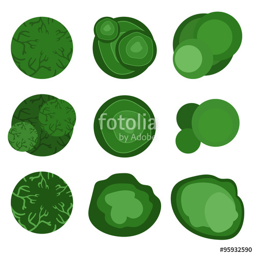 500x500 Trees Top View For Landscape Design. Vector Illustration Stock