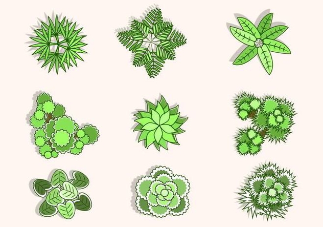 632x443 Flat Top View Of Tree Vectors Free Vector Download 424395 Cannypic