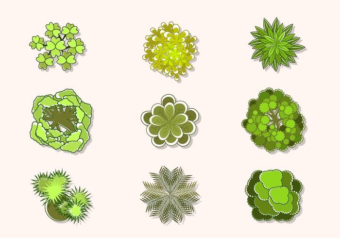 700x490 Flat Top View Of Tree Vectors