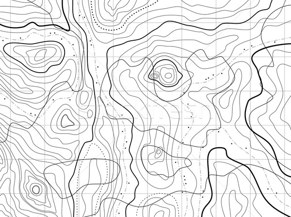 600x448 Vector Abstract Topographical Map With No Names Vector